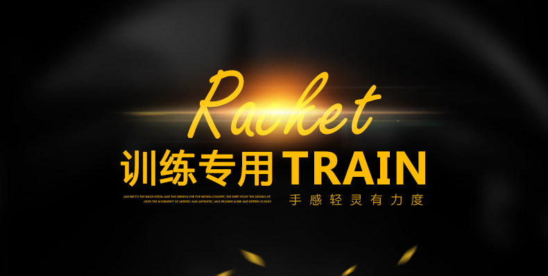 BR124 训练羽毛球拍 - detail 3/20