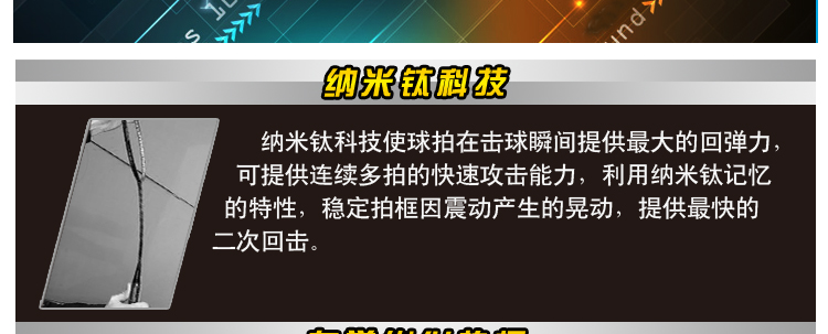 NANO RAY 9900 全碳素羽毛球拍 - detail 7/26