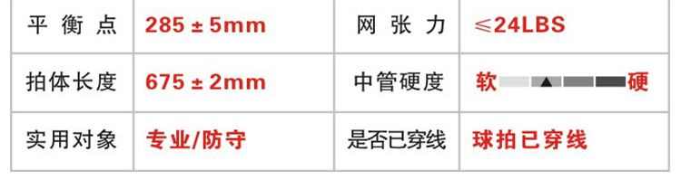 TURBO CHARGING N9 全碳素羽毛球拍 - detail 2/29