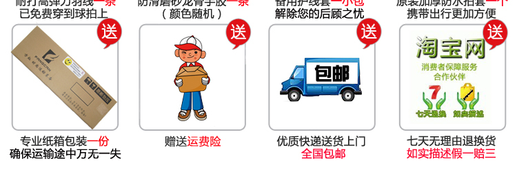 VOLTE A911 全碳素羽毛球拍 - detail 26/26