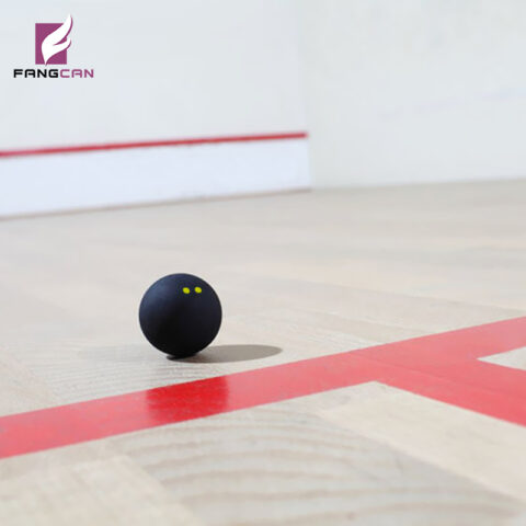 FCA-06 Two Yellow Dots Squash Ball