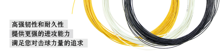 BG95 Badminton Racket String - detail 6/21