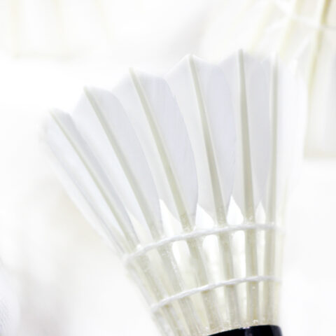 FCS-02 Selected Duck Feather Training Shuttlecock