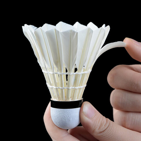 FCS-01 Water Duck Feather Training Shuttlecock