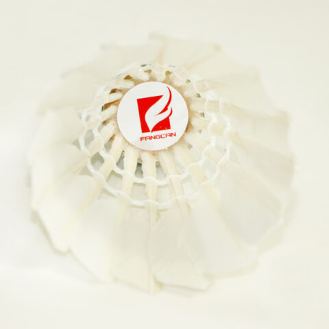 FCS-02 Selected Duck Feather Training Shuttlecock