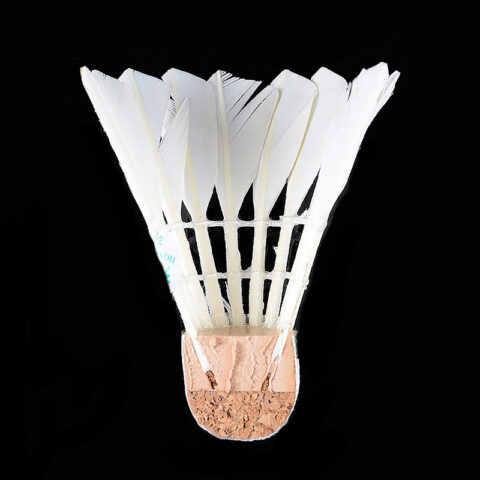 FCS-01 Water Duck Feather Training Shuttlecock